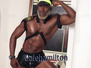 dalehamilton Topp Finder