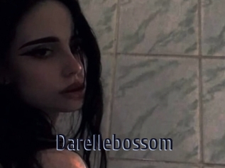 Darellebossom