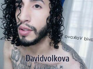 Davidvolkova