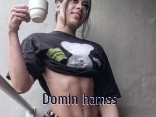 Domin_hamss