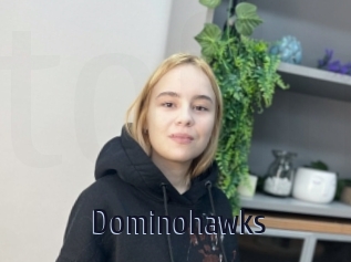 Dominohawks