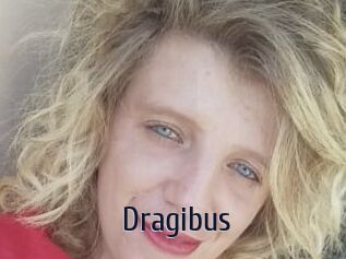 Dragibus