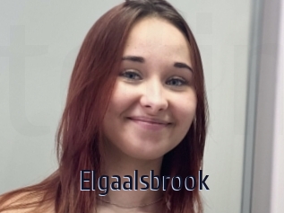 Elgaalsbrook