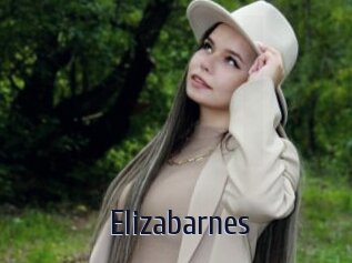 Elizabarnes