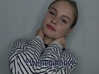 Elwinegambee