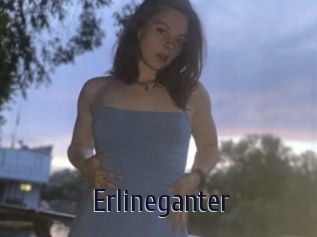 Erlineganter