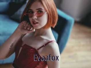 Evaafox