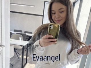 Evaangel