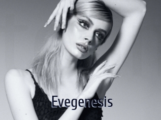 evegenesis Topp Finder