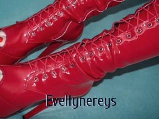 Evellynereys