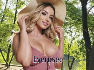 everosee Topp Finder