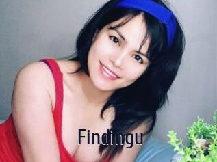 Findingu Topp Finder