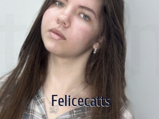 Felicecatts