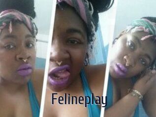 Felineplay
