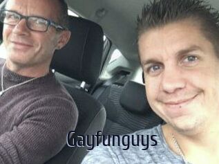 Gayfunguys