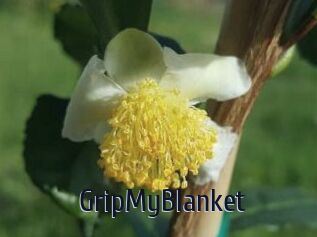 GripMyBlanket