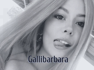 Gallibarbara