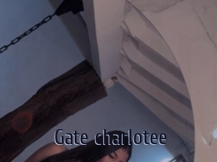 Gate_charlotee