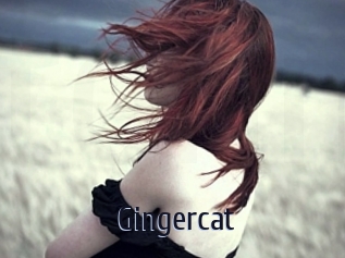 Gingercat