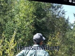 HandsumNHung