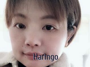 Haringo
