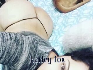 Harley_fox