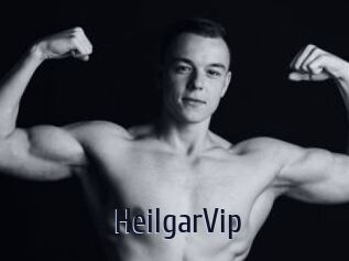 HeilgarVip