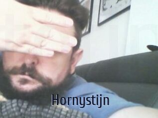 Hornystijn