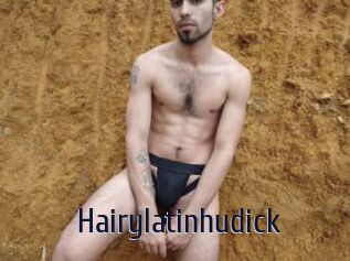 Hairylatinhudick