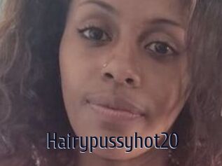Hairypussyhot20