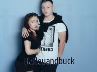 Halleyandbuck
