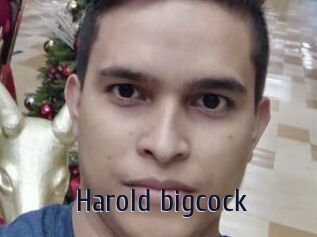 Harold_bigcock