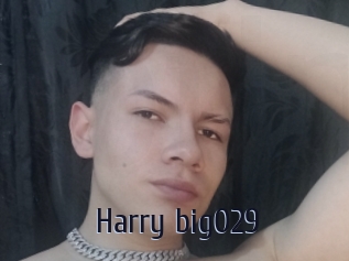 Harry_big029