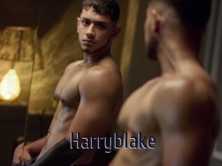 Harryblake