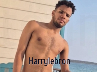 Harrylebron