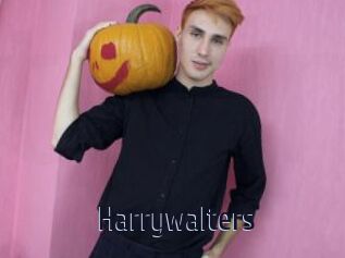 Harrywalters