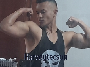 Harveytecson