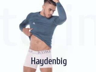 Haydenbig