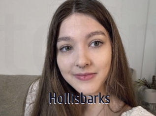 Hollisbarks