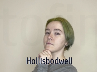 Hollisbodwell