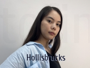 Hollisbrucks