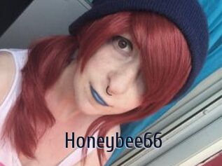 Honeybee66
