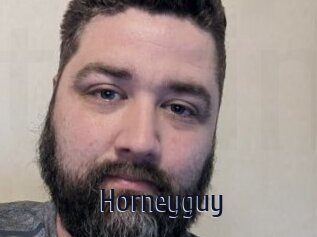 Horneyguy