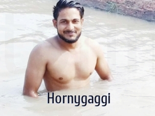 Hornygaggi