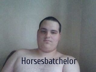 Horsesbatchelor