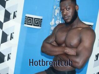 Hotbrentcub
