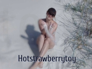 Hotstrawberrytoy