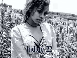 Indigo_22