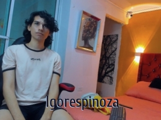 igorespinoza Topp Finder