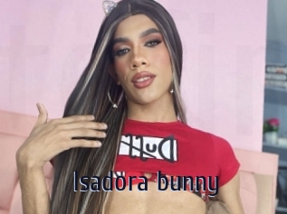 Isadora_bunny